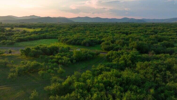 呼伦贝尔额尔古纳河湿地旅拍风景