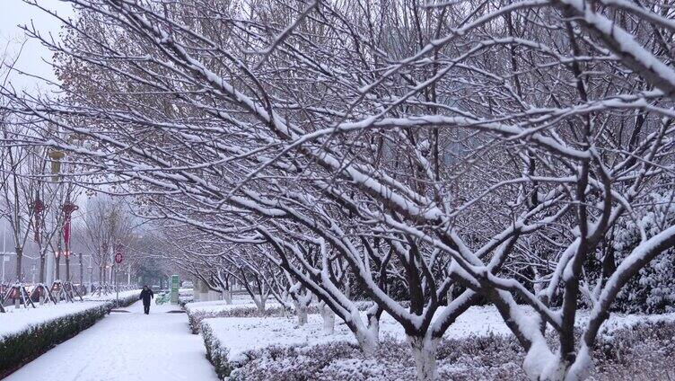 临沂城市道路雪景 意境氛围