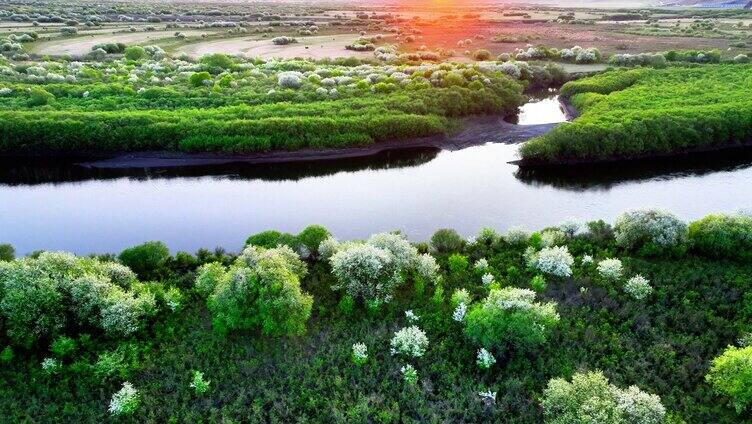 航拍春季湿地河岸花开