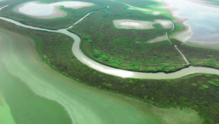 江西 鄱阳湖保护区 湿地