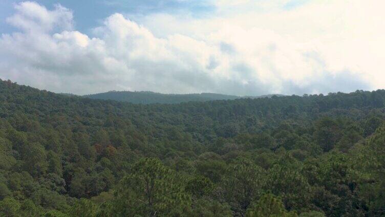 俯瞰整座大山和深林