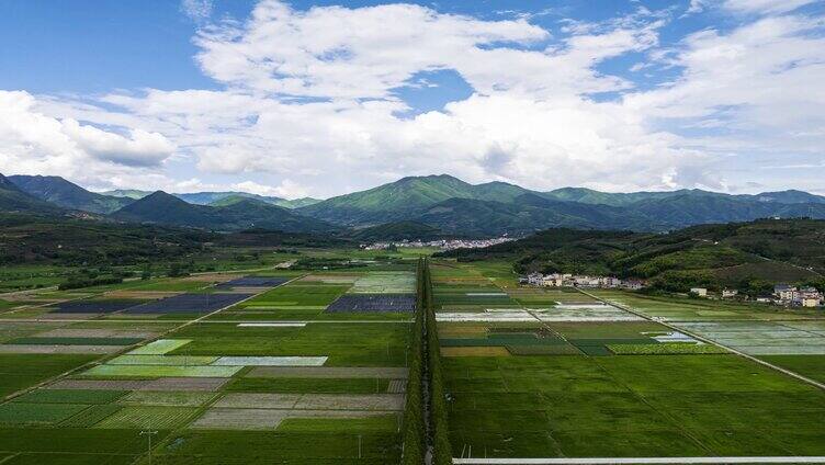 【6段延时】福建茶园茶山茶田航拍合集