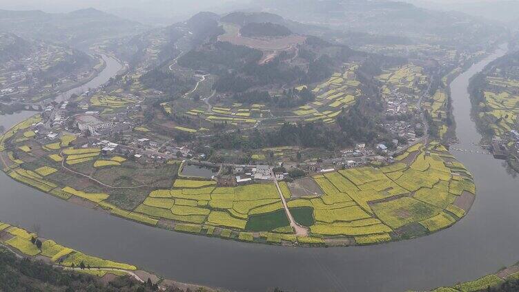 德阳凯江大回湾调元镇油菜花