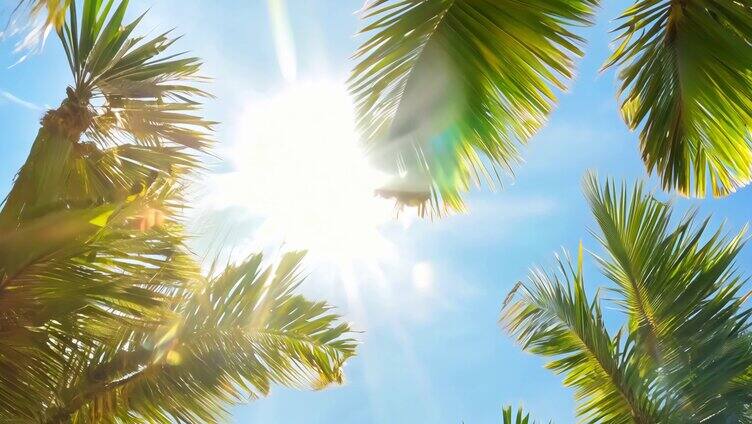 烈日当空 大暑节气