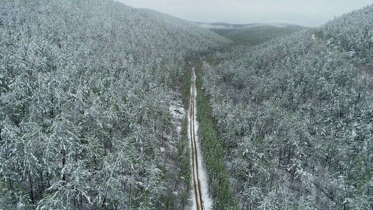 航拍大兴安岭春季森林降雪山路