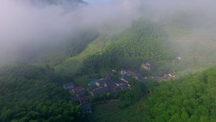 大雾竹林村庄航拍