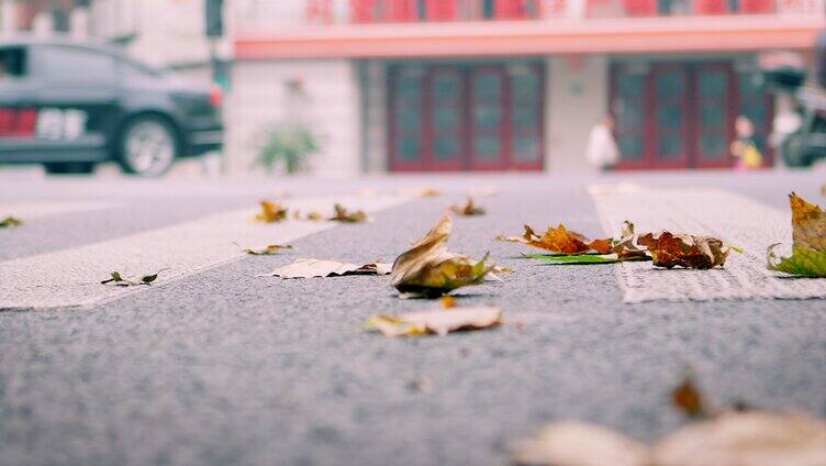 落叶 街道 路人脚步