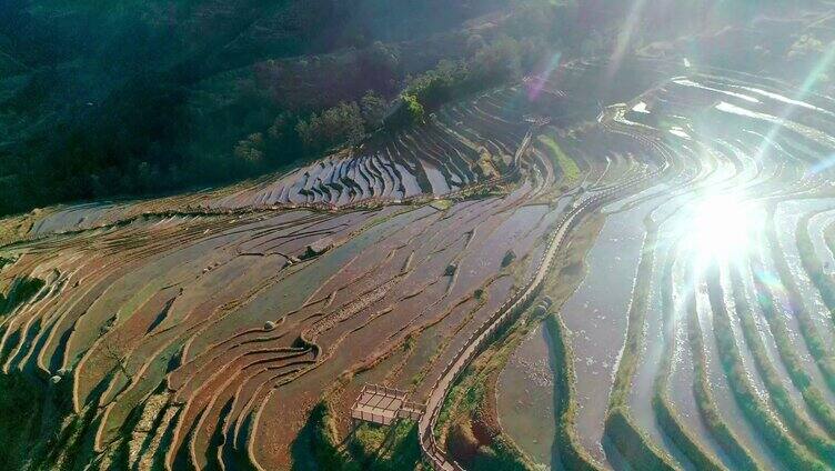 米易梯田航拍