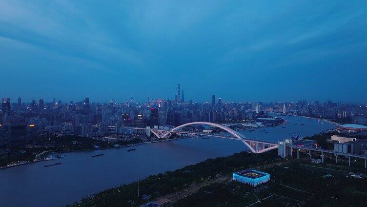 航拍上海现代都市陆家嘴卢浦大桥夜景