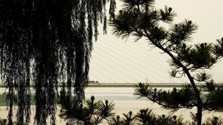 黄河水 黄河沿岸 黄河浮桥 黄河大桥