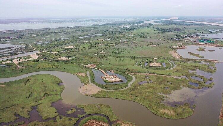 黄河湿地 生态湿地 黄河平原