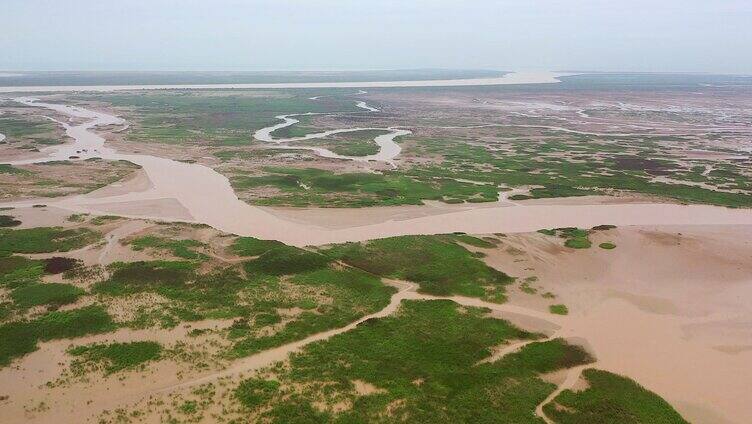 黄河湿地 黄河流域 黄河生态 黄河平原 