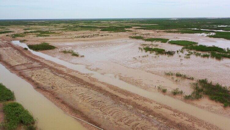 黄河湿地 生态湿地 黄河平原