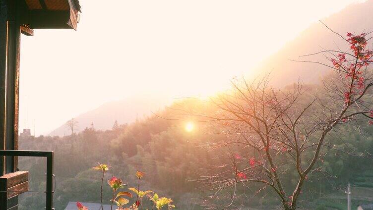 夕阳山间红枫