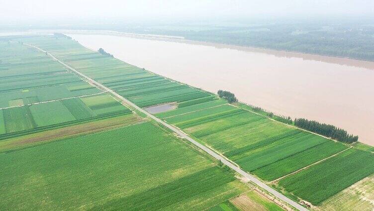 黄河水 黄河沿岸 黄河平原 黄河流域