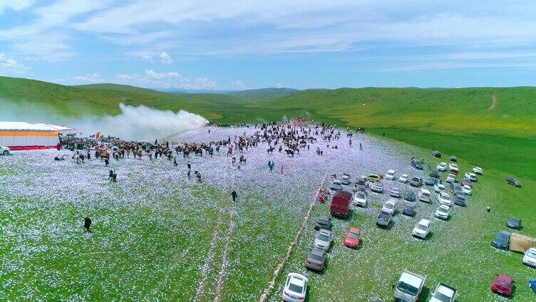 藏族牧民 节日聚会 煨桑 耍坝子