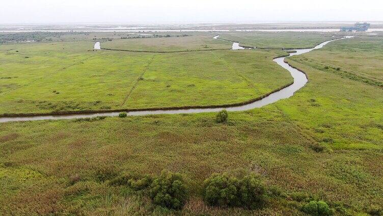 黄河湿地 黄河流域 黄河生态 黄河平原 