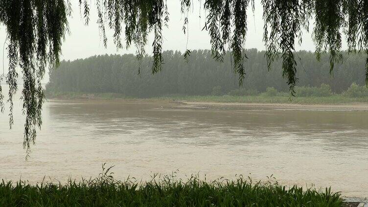 黄河水 黄河沿岸 黄河浮桥 黄河流域