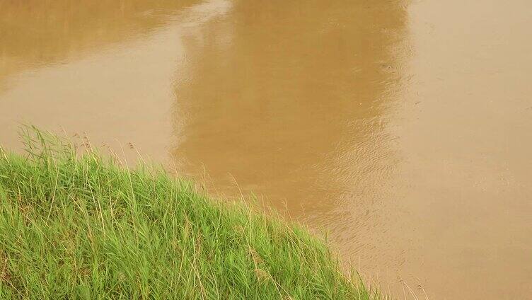 黄河水 黄河沿岸 黄河浮桥 黄河流域