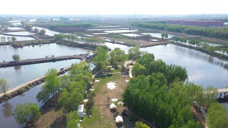 湖心营地 辽河 夏日旅游