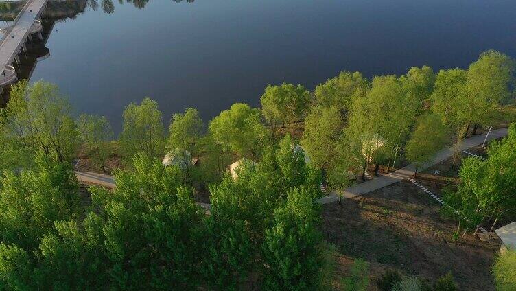 树林帐篷 辽河流域 夏日旅游