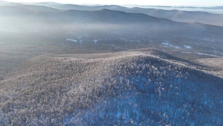 冻雾迷漫的大兴安岭林海雪原