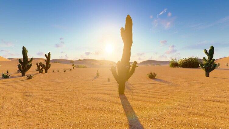 荒凉沙漠日出延时风景