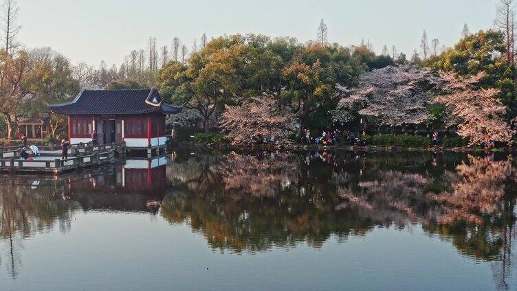 西湖曲院风荷