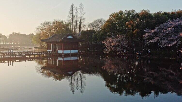 西湖曲院风荷