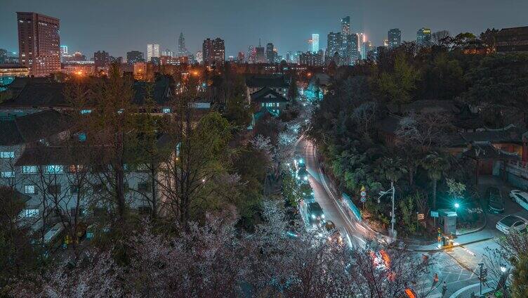 樱花大道_鸡鸣寺路