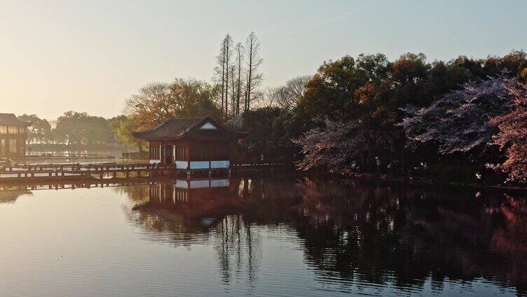 西湖曲院风荷