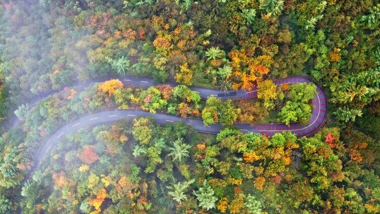 陕西秦岭太洋公路