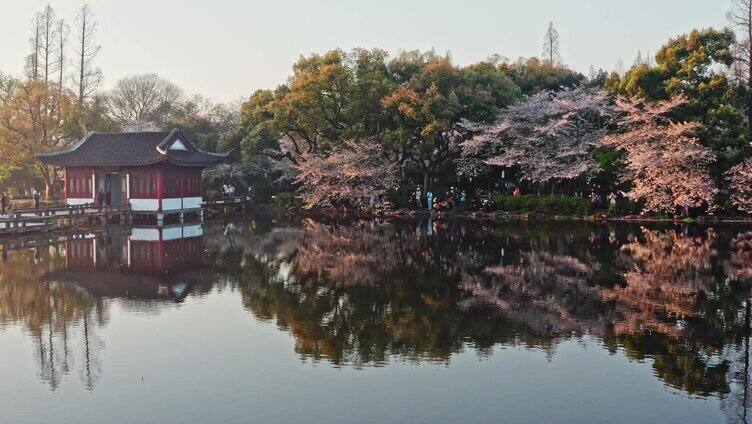 西湖曲院风荷