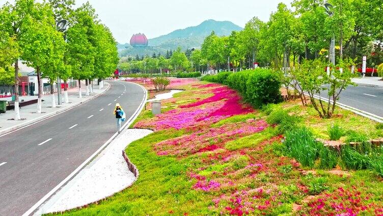 航拍-青岛世博园鲜花大道