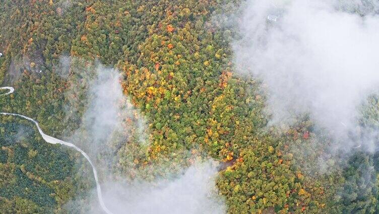 甘南拉尕山航拍