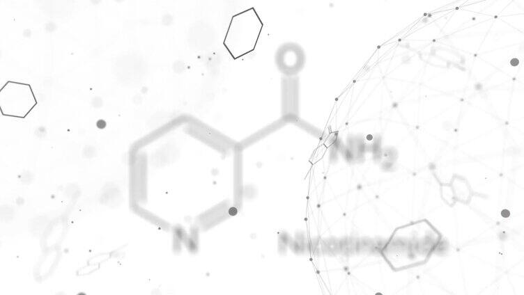 烟酰胺或烟酰胺分子