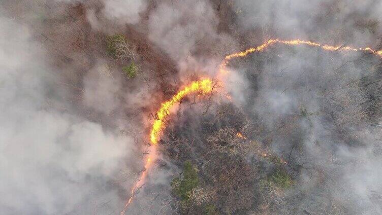 野火释放二氧化碳(CO2)和其他温室气体(GHG)，导致气候变化和全球变暖。