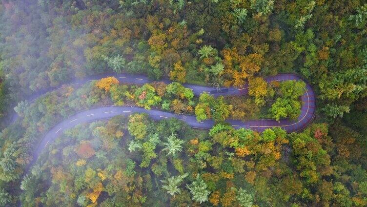 陕西秦岭太洋公路边