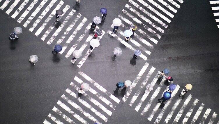 一群人打着伞在雨中行走