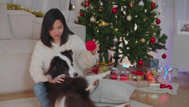 一名女子在家里和狗狗玩耍庆祝圣诞节