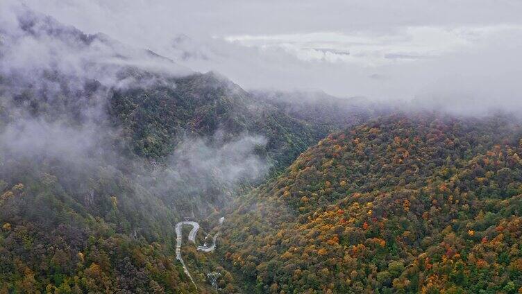 陕西秦岭太洋公路边