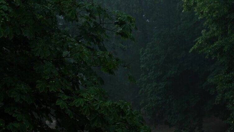 暴雨倾盆夏季雷暴特写