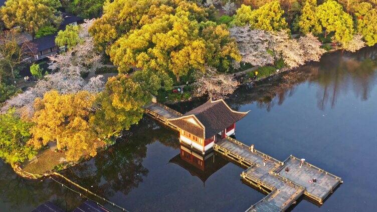 西湖曲院风荷全景