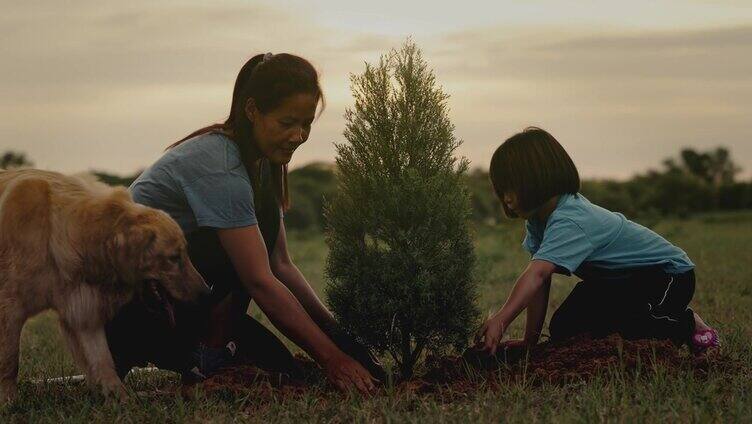 母亲和女儿在植树。