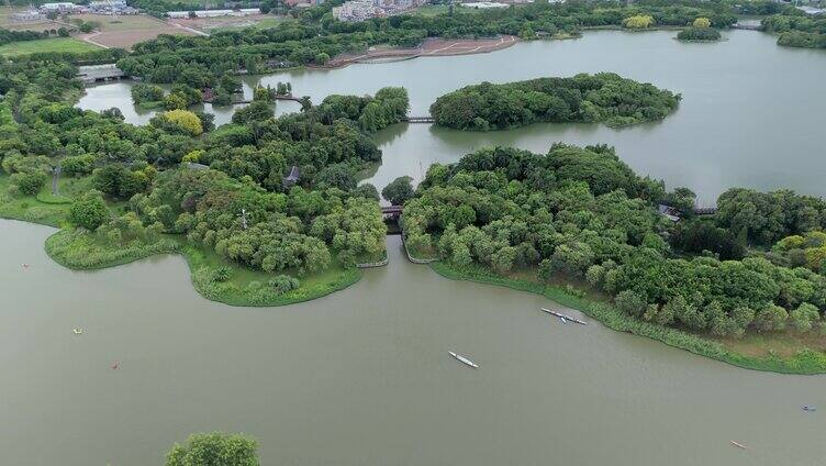 广州海珠湖公园海珠湿地航拍合集2