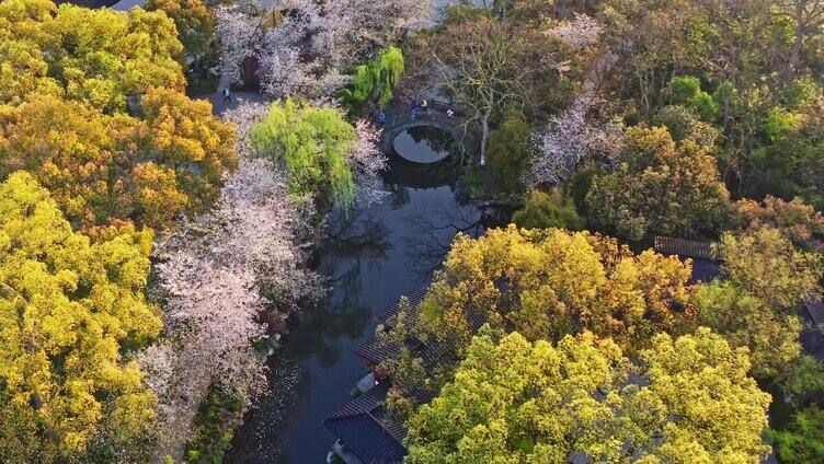 西湖曲院风荷全景