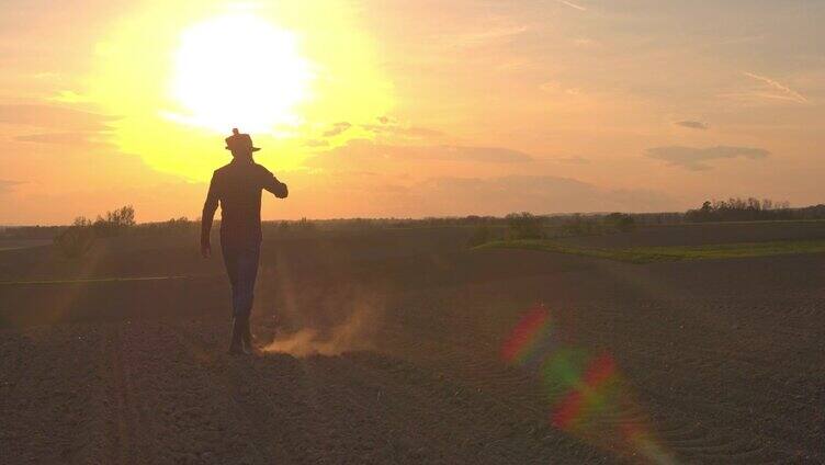 日落时分，农民扛着锄头在田园诗般的乡村耕地上