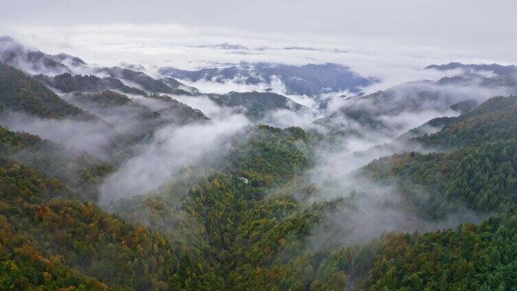 陕西秦岭太洋公路边