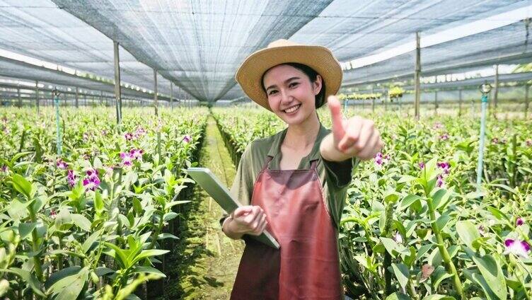 年轻的亚洲妇女农民使用无线技术工作和检查质量控制兰花农场温室。