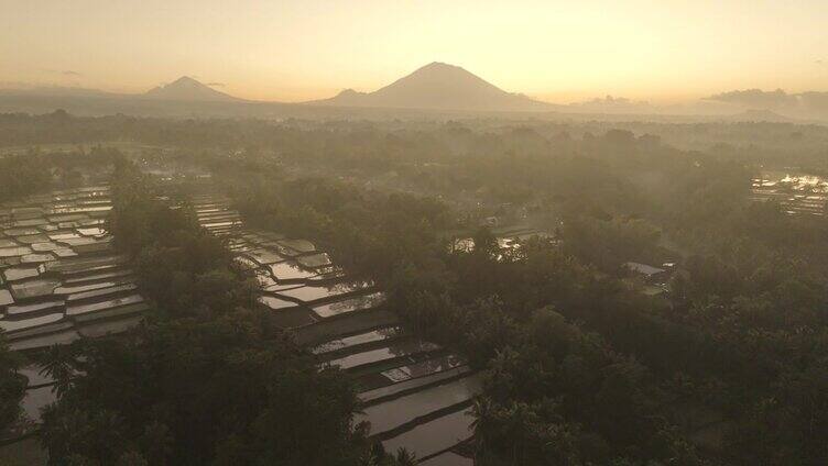 印尼巴厘岛梯田日出景象。